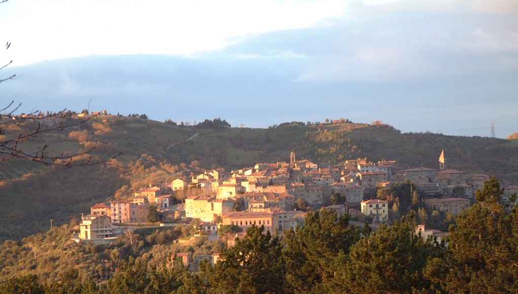 DSCF0014