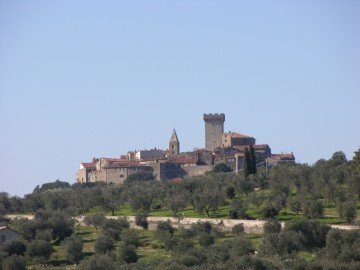 DSCN4193