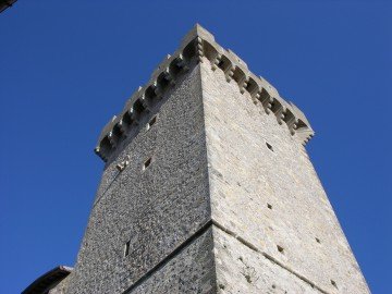 DSCN4237