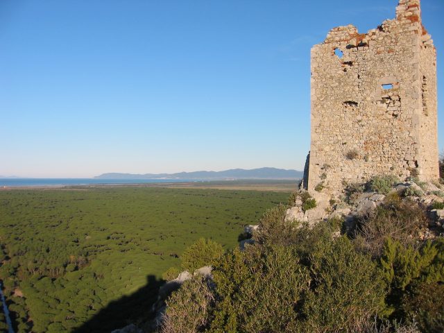 102-0221_STA