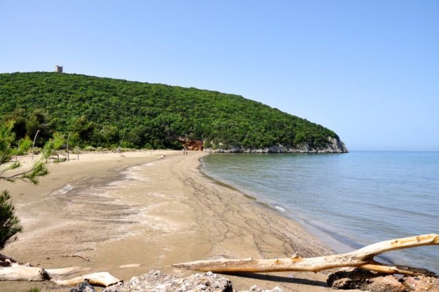 cala di forno