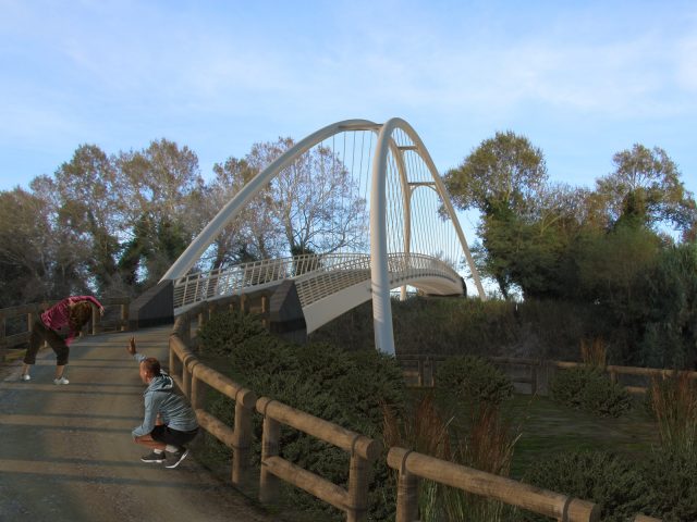 Ponte Ombrone