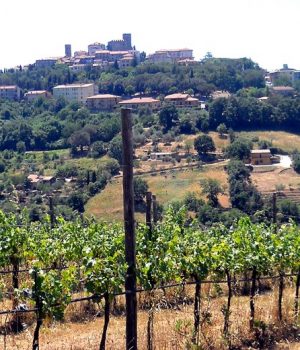04-POGGIO-CAGNANO