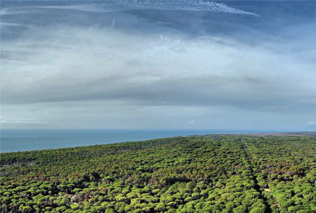 Parco della Maremma