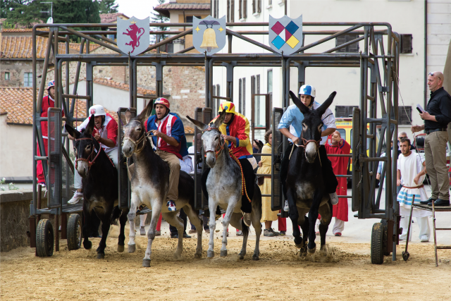 Palio ciuchi