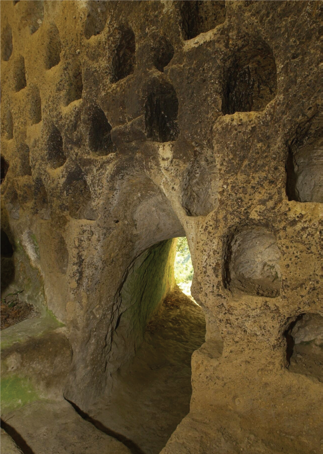 Colombaio di Vitozza