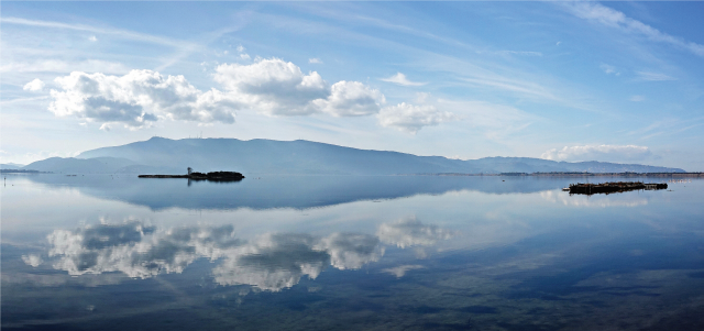 Flick Maremma 1