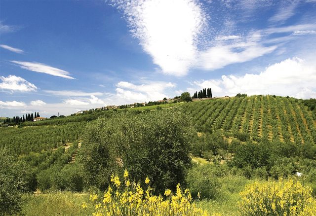 Franci Castel del Piano