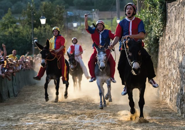 Palio dei Ciuchi Campagnatico