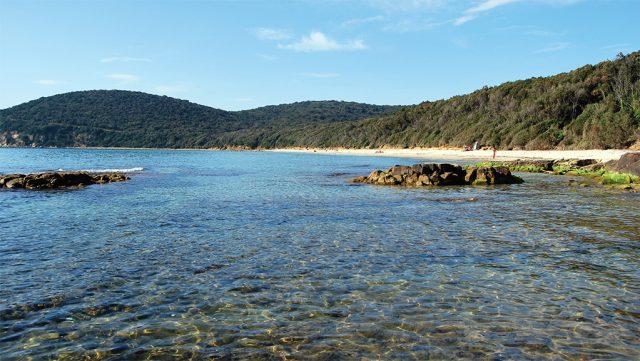 Cala violina - Scarlino
