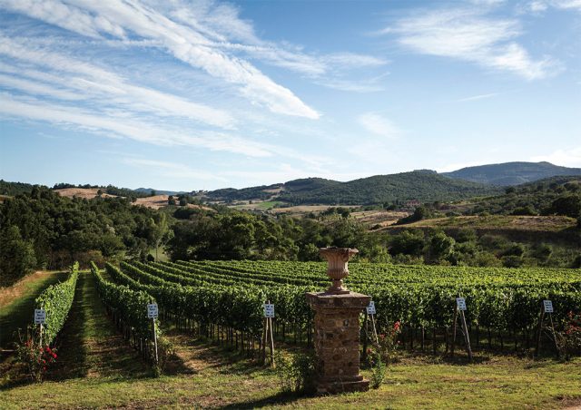 Poggio l'Apparita 1