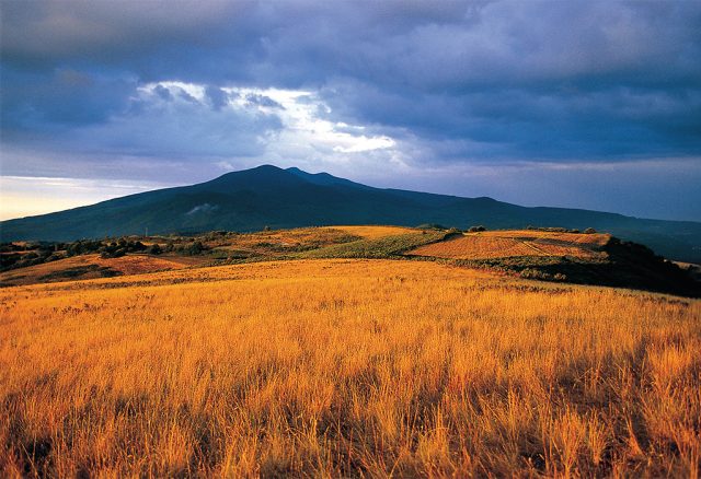 Parco faunistico Monte Amiata