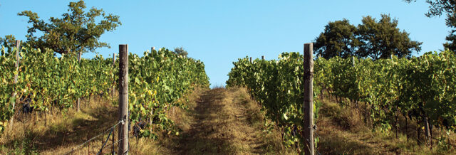 Poggio Cagnano