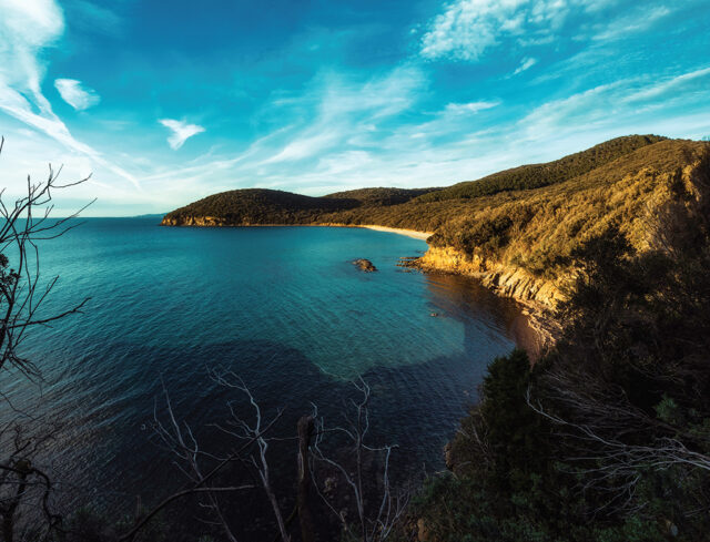 Cala Violina (Scarlino)