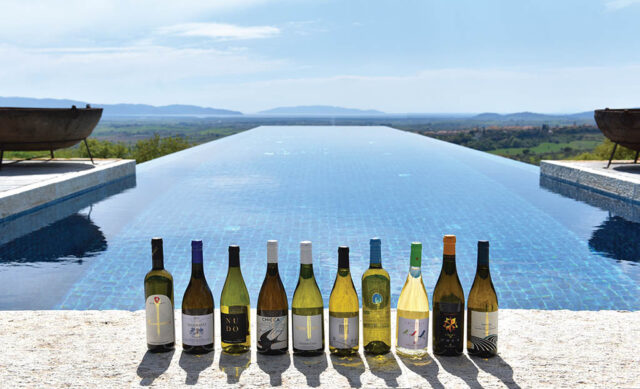 Vermentino copertina 1