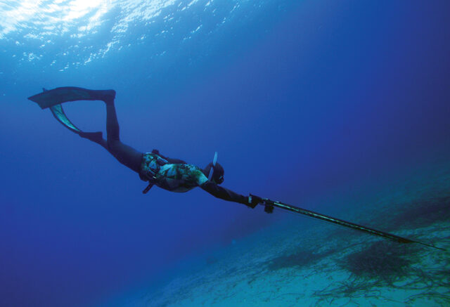Snorkeling all'Argentario 2