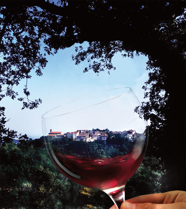 Morellino di Scansano - bicchiere
