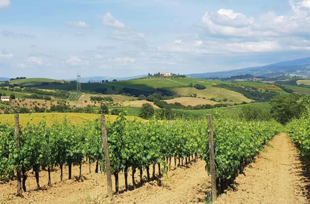 Maremma 2021