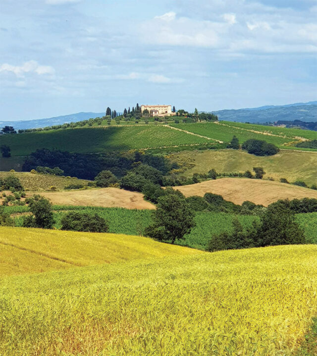 Il Castello di ColleMassari a Cinigiano