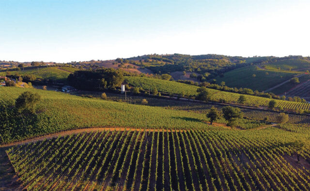 Consorzi vini toscani