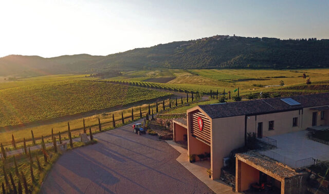 Tenuta 12