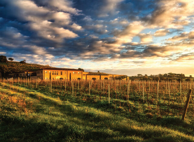 Cantina Monteverro