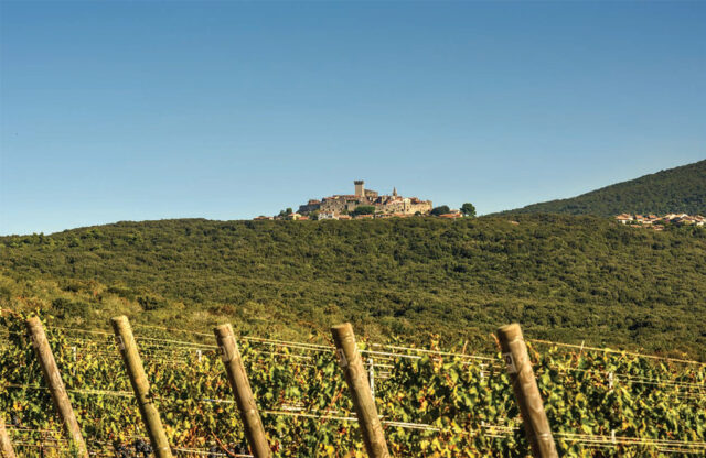 Azienda agricola Monteverro - Capalbio