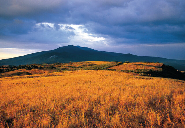 Monte Amiata
