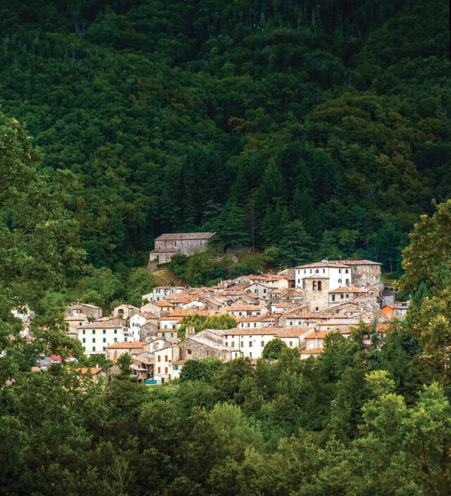 Montieri