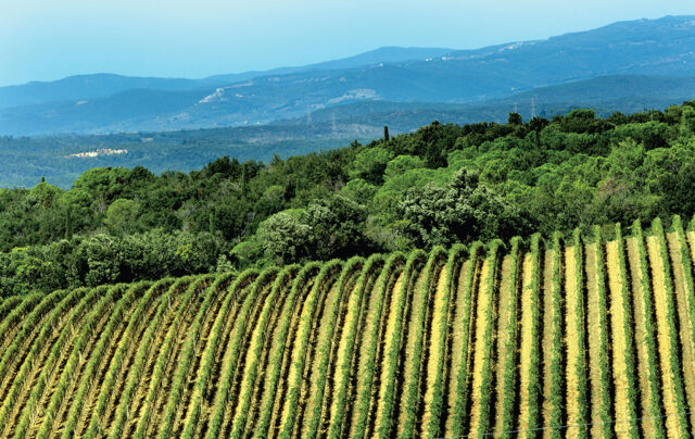 Montecucco