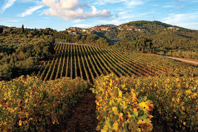 Val di Cornia