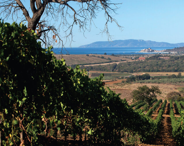 Fattoria Le spighe