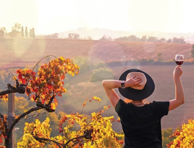 Enoturismo in Maremma