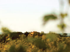 Dal cinema alla terra: il sogno sostenibile di Ruedi Gerber tra le colline di Tatti chiamato Sequerciani