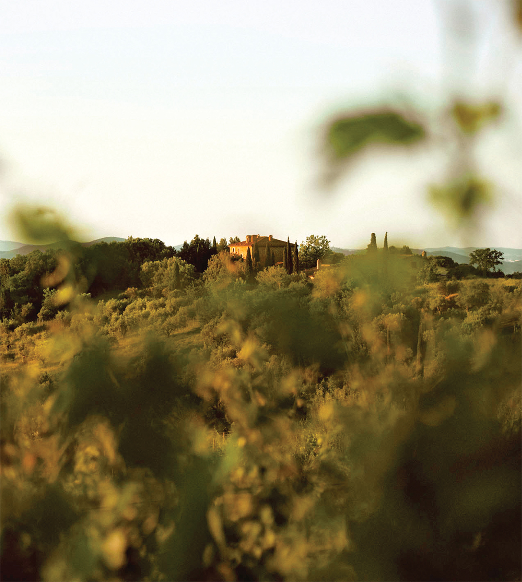 Tenuta Sequerciani di Tatti