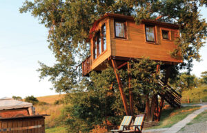 Glamping Il Sole, dove la Maremma diventa esperienza e sogno