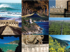 Dalla Maremma al mare, i costumi a marchio “Broz & Broz” che raccontano un territorio