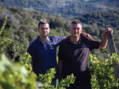 Tore del Moro, il Morellino della Cantina Santa Lucia che racconta la Maremma e conquista i Tre Bicchieri