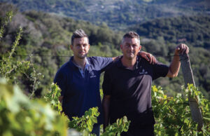 Tore del Moro, il Morellino della Cantina Santa Lucia che racconta la Maremma e conquista i Tre Bicchieri