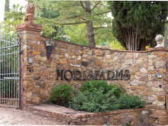 Morisfarms, tre secoli di storia e una nuova stagione tra vino, ospitalità ed enoturismo