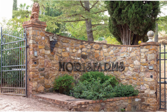 Morisfarms, tre secoli di storia e una nuova stagione tra vino, ospitalità ed enoturismo